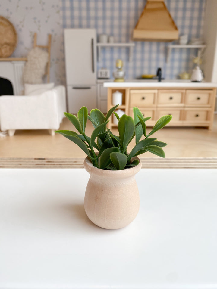 Potted Plant | Various Sizes + Styles
