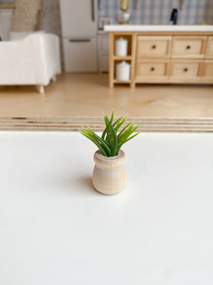 Potted Plant | Various Sizes + Styles