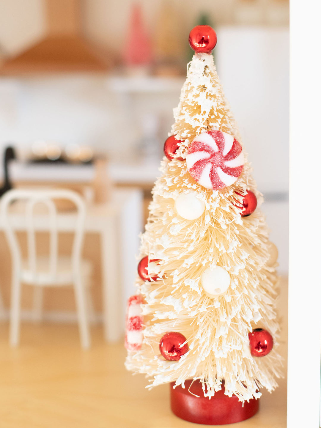 Peppermint Bottle Brush Tree