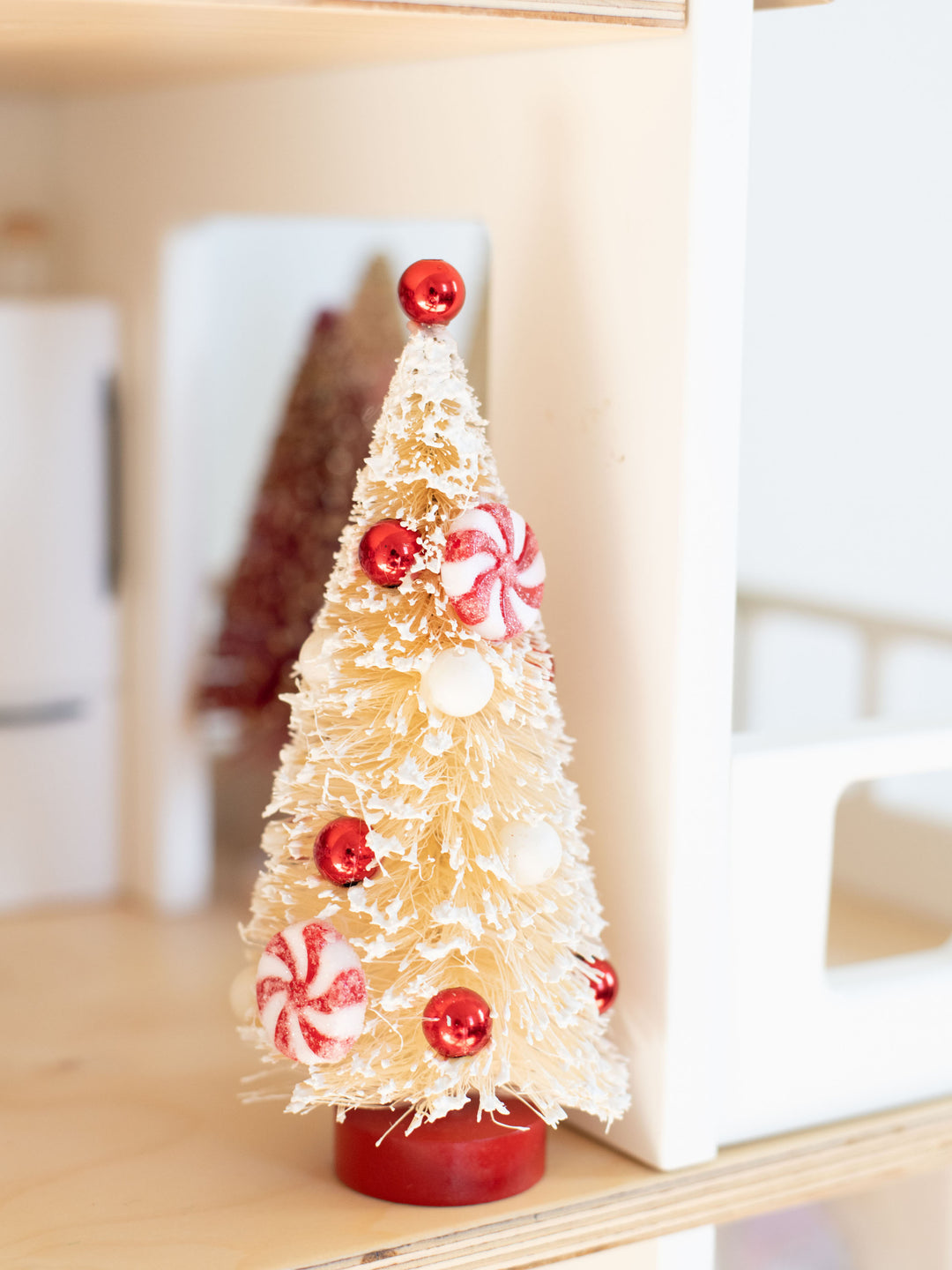 Peppermint Bottle Brush Tree