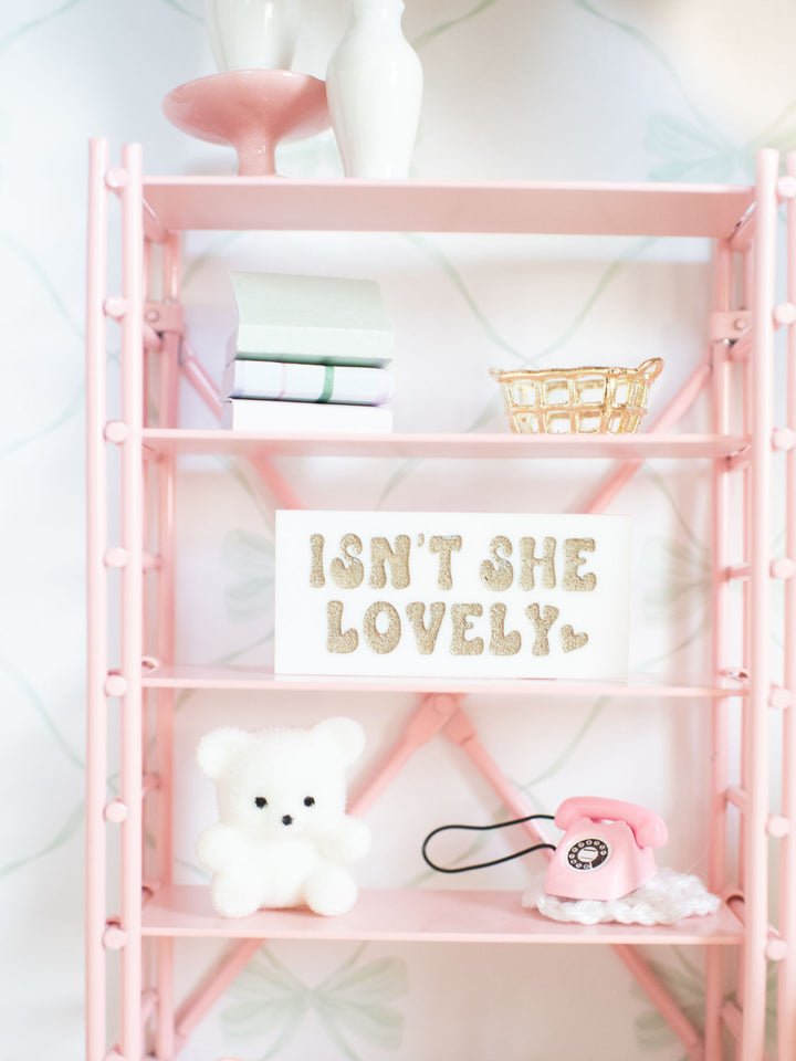 Sweet Pea Pink Metal Bookshelf | Dollhouse Miniature Furniture