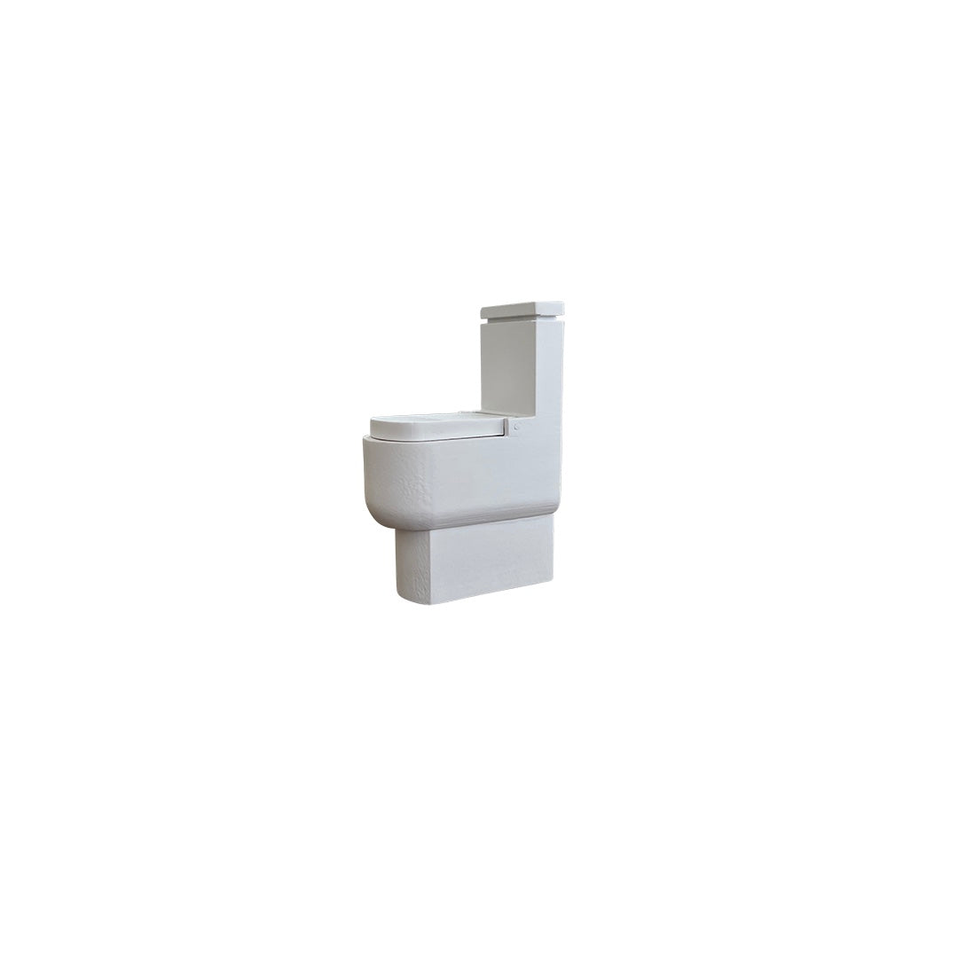 *FLAWED* Toilet | White
