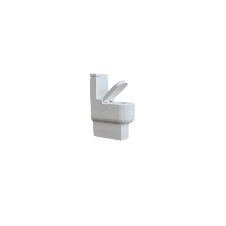 *FLAWED* Toilet | White